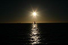 robben island IMG_2812.JPG